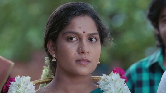 நூறு சாமி