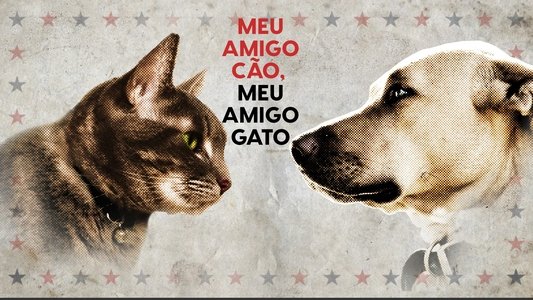 Cat vs. Dog