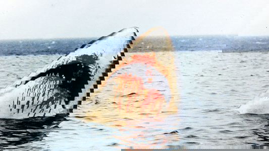 Cruel Jaws