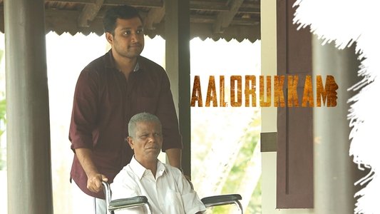 ആളൊരുക്കം