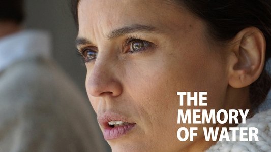 La memoria del agua