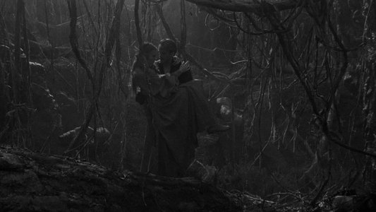 The Princess Bride