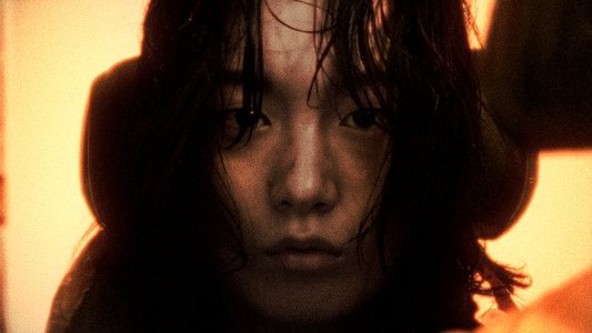 지느러미
