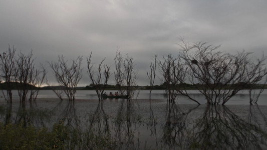 Banho de Choque