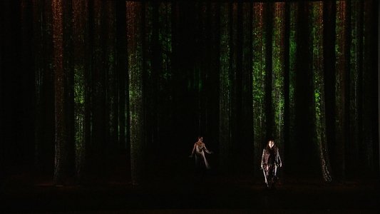 Wagner: Siegfried