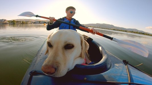 It's a Dog's Life with Bill Farmer