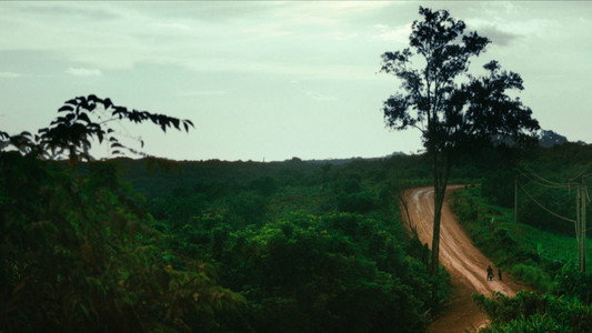 Homo Sive Natura