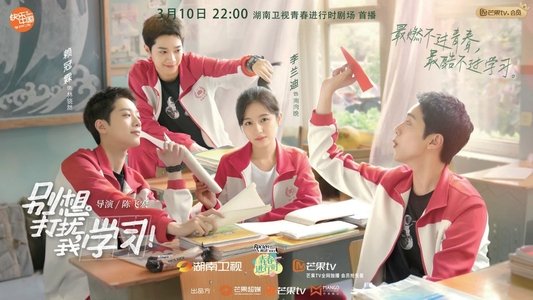 别想打扰我学习