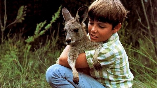 Skippy the Bush Kangaroo