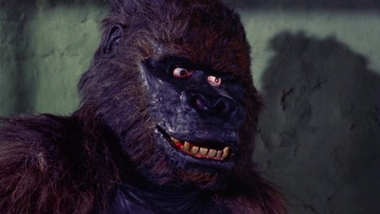 Konga