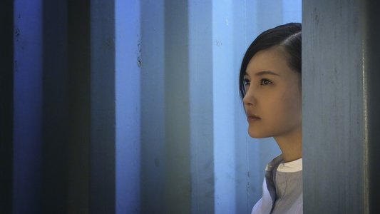 记忆大师