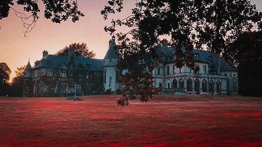 Dark Shadows