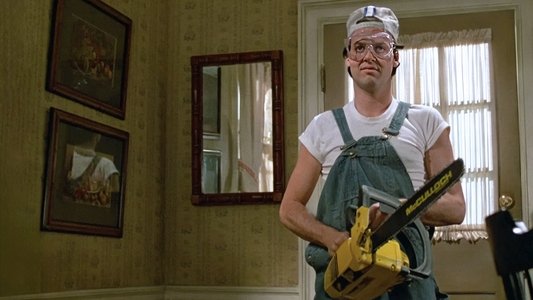Mr. Mom