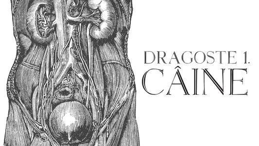 Dragoste 1. Câine