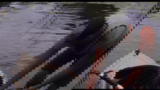 Slasher Summer