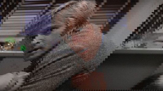 Three Days of the Condor