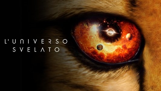 Our Universe