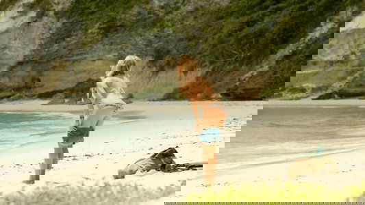 The Shallows