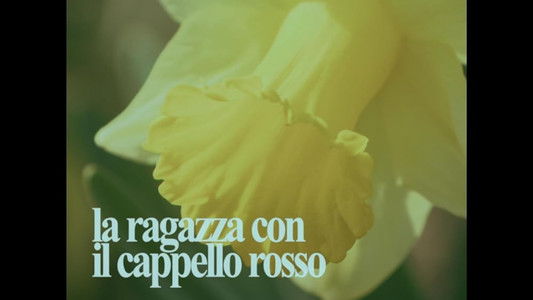 La Ragazza Con Il Cappello Rosso