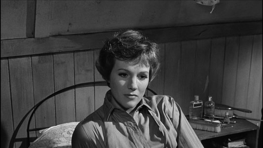 The Americanization of Emily