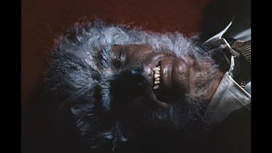 The Werewolf of Washington