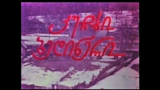 კუჩხი ბედინერი