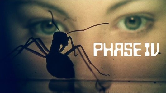 Phase IV