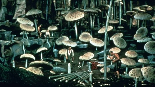 Journey to the Center of the Earth