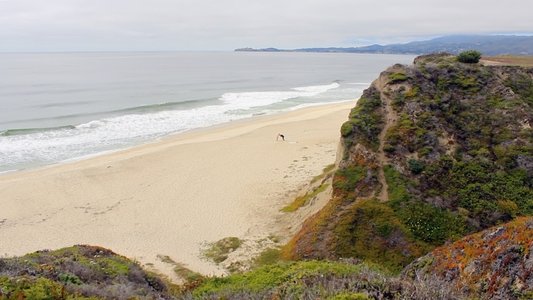 European Man...American Beach