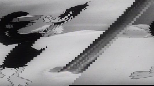Daffy's Southern Exposure