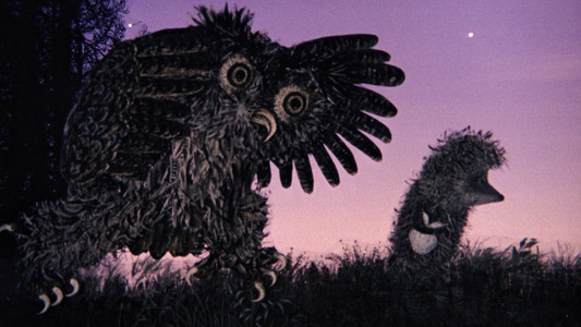 Ёжик в тумане