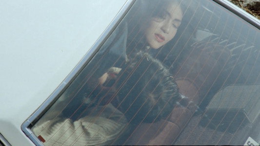 女豹