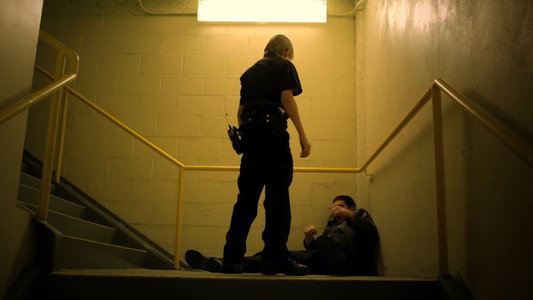 Timmy Muldoon and the Search for the Shadoweyes Bandit
