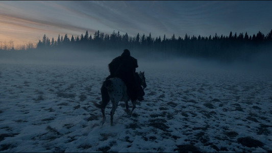 The Revenant