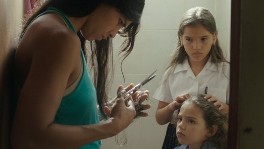 El despertar de las hormigas