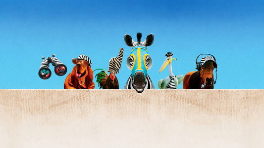 Racing Stripes