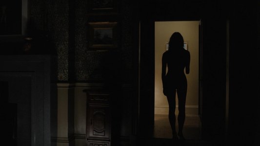 The Shrouds
