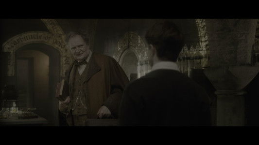 Harry Potter and the Half-Blood Prince