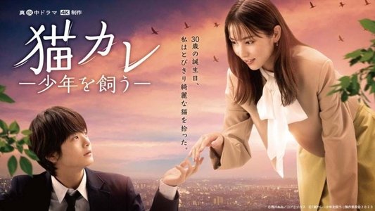 猫カレ -少年を飼う-
