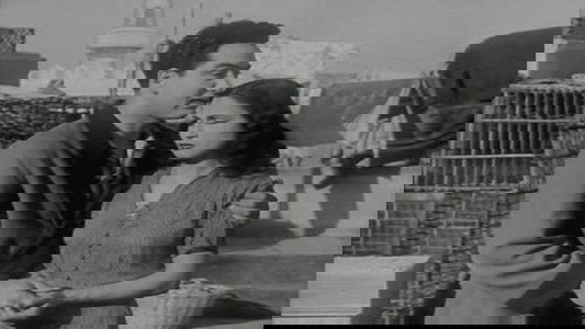 نرجس
