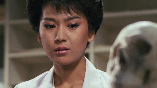 女猫