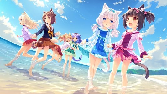 ネコぱら