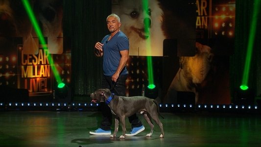 Cesar Millan: Viva Las Vegas!