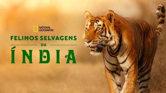 Wild Cats of India