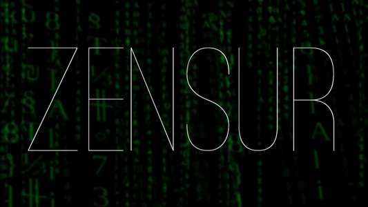 Zensur: Die organisierte Manipulation der Wikipedia und anderer Medien