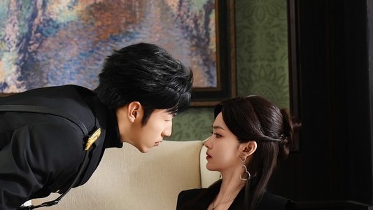 乘龙赘婿