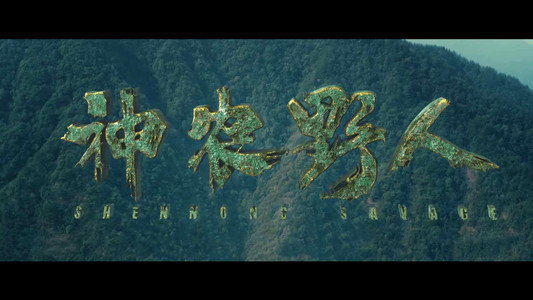 神农野人
