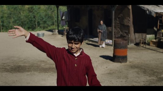 The Apple Picker's Son