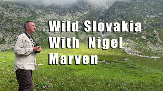 Divoká príroda Slovenska s Nigelom Marvenom