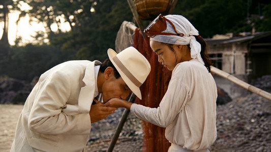 タンポポ